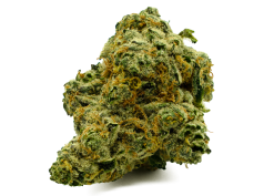 Pink Kush