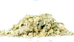 Bud Shake