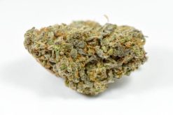 Nuken Strain