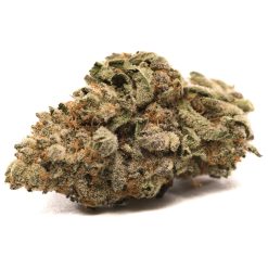 Wedding Cake Strain