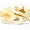 Golden Teacher Magic Mushrooms