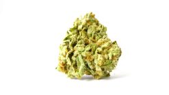 Kush Mints Flower