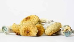 Blue Meanies Magic Mushrooms