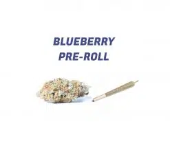 Blueberry Pre-Roll