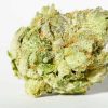 white death indica cannabis strain for sale