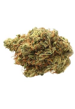amnesia haze