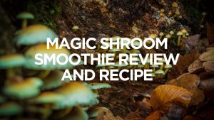 magic-shroom-smoothie-review-and-recipe