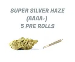 Super Silver Haze Pre Rolls