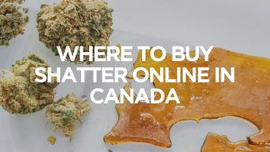 where-to-buy-shatter-online-in-canada