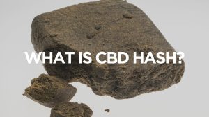 what-is-cbd-hash