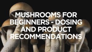 mushrooms-for-beginners-dosing-and-product-recommendations