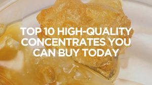 top-10-high-quality-concentrates-you-can-buy-today