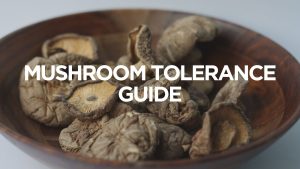 mushroom-tolerance-guide