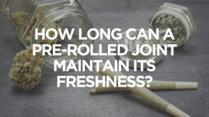 How Long Can a Pre-rolled Joint Maintain Its Freshness