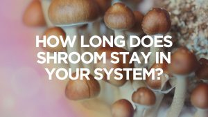 How Long Does Shroom Stay in Your System