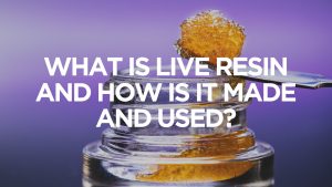 What Is Live Resin and How Is It Made and Used