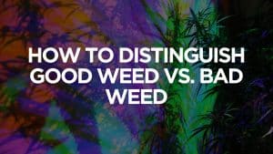 How to Distinguish Good Weed vs. Bad Weed
