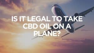 Is It Legal to Take CBD Oil on a Plane