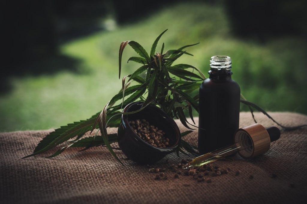 cannabis seeds and hemp oil