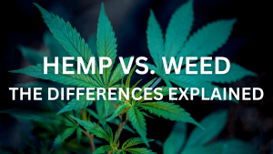 hemp vs. weed