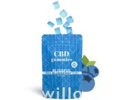 willo blueberry gummies 200mg cbd