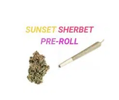 Sunset Sherbet Pre-roll