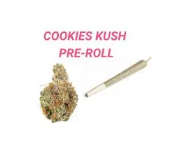 Cookies Kush pre roll