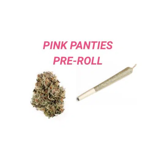 pink panties pre roll