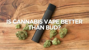 Is Cannabis Vape Better Than Bud?
