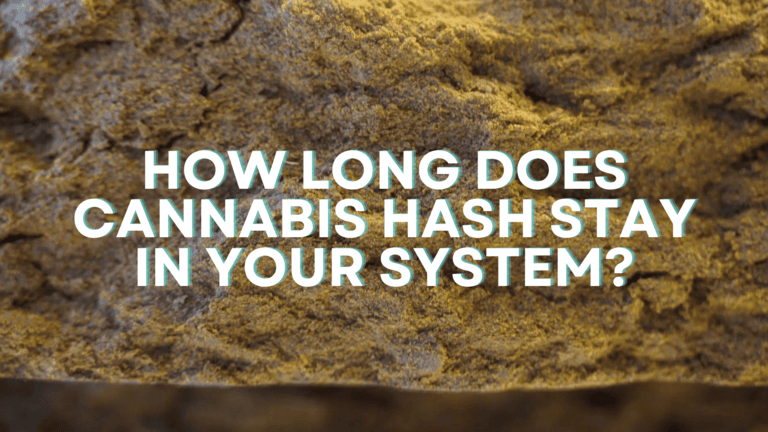 Length of cannabis hash in your system article title with hashish resin background