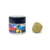 SpaceXotics Moon Rock