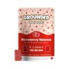 Grounded High Dose Bricks – 1000mg Gummies – Strawberry Hibiscus