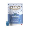Grounded High Dose Cannabis-Infused Gummy Bears - 500mg THC - Image 2