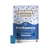 Grounded High Dose Cannabis-Infused Bricks Gummies - 1000mg - Image 2