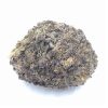 Black Truffle Strain