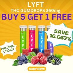 Lyft Organic Real Fruit Vegan Gumdrop THC Gummies 360mg Buy 5 Get 1 FREE