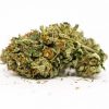 Khalifa Kush