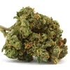 Grape_Gasoline