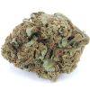 Permanent_Market_Strain