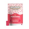Grounded Cannabis Infused Gummies Bricks 500mg Watermelon