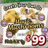 Create Your Own - Ounce (Magic Mushrooms)