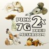 Festival Fun Pack - Image 3