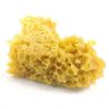 crumble | Budlyft