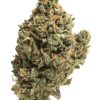 Gorilla Glue #5 AAAA
