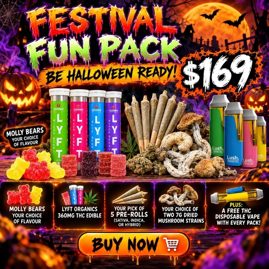 Festival Fun Pack | Budlyft