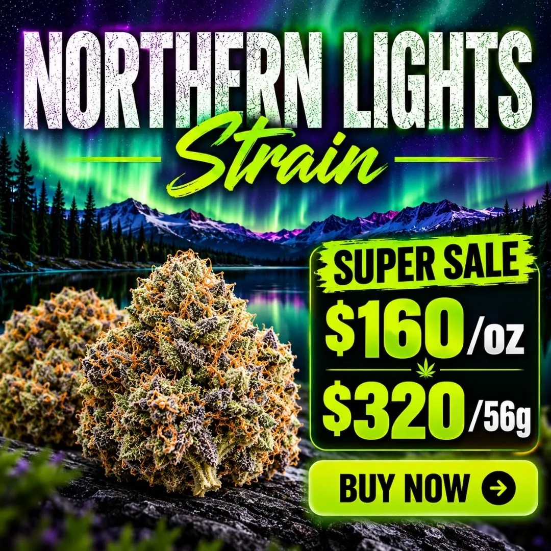 Northern Lights | Budlyft